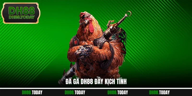 Đá Gà DH88 Đá gà DH88 đầy kịch tính