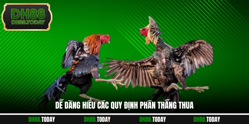 Luật Đá Gà Philippines - Top 3 Kinh Nghiệm Làm Chủ Mọi Ván Dễ dàng hiểu các quy định phân thắng thua
