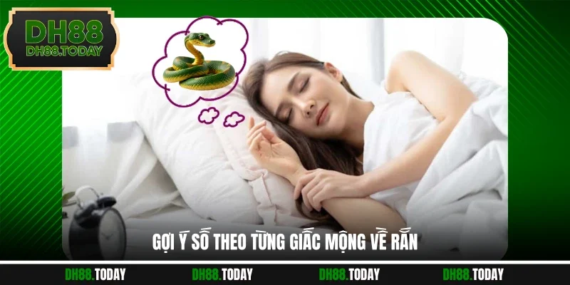 Mơ Thấy Rắn - DH88 Bật Mí Vận May Và Dự Báo Tương Lai Gợi ý số theo từng giấc mộng về rắn