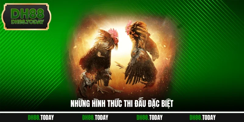Đá Gà DH88 Những hình thức thi đấu hay